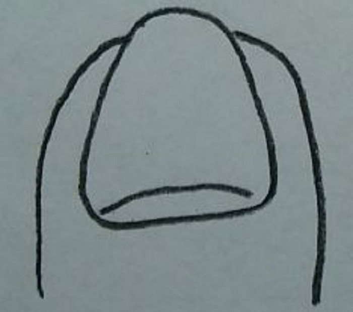 손톱모양 이미지