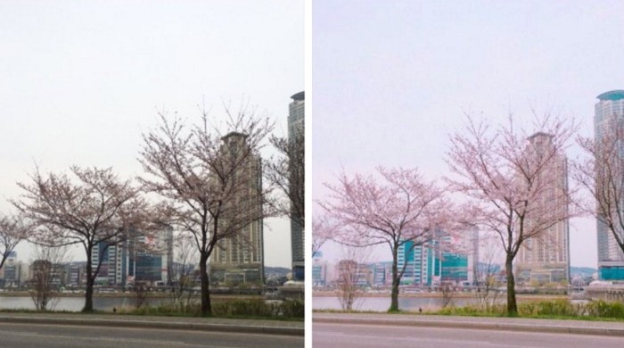 장씨카메라 이미지
