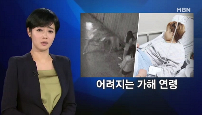 가담뷰티 이미지