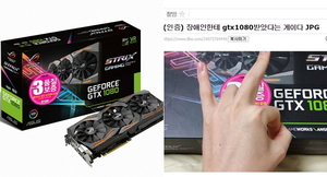 원그래픽 이미지