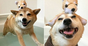 어부바 이미지