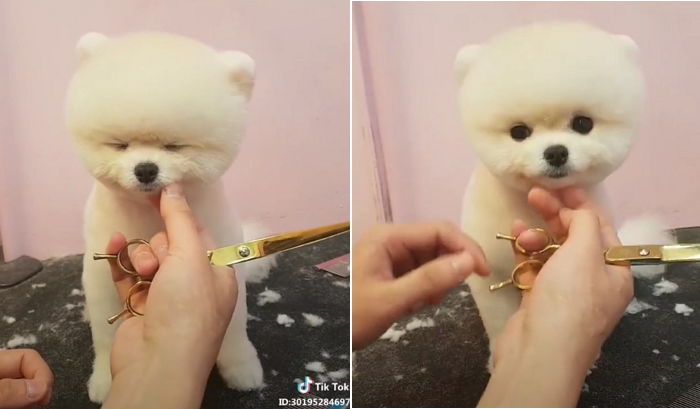 황비미용실 이미지
