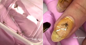 모기아트 이미지