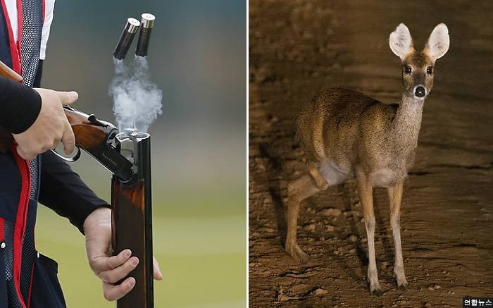 고라니 잡다가 중학생 총으로 쏜 사냥꾼