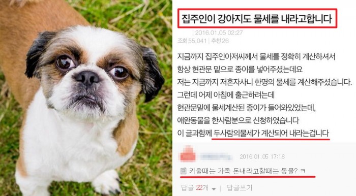키우는 강아지도 ‘수도세’ 내라고 요구하는 집주인
