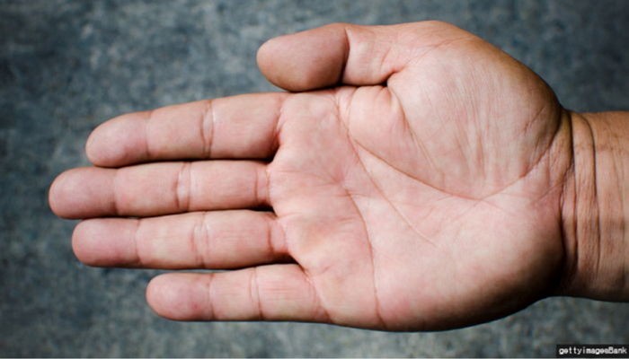 ‘손가락 길이’로 알아보는 리더십 유형 3가지