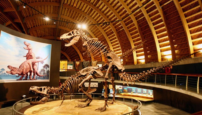 세계 최초 거대 공룡의 ‘짝짓기’ 보여주는 화석 발견