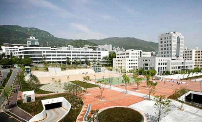 갑자기 바뀐 체교과 시험 규정에 통째로 잃어버린 3년