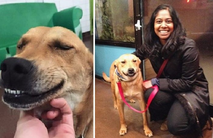 새가족 만난 기쁨에 활짝 미소 짓는 유기견