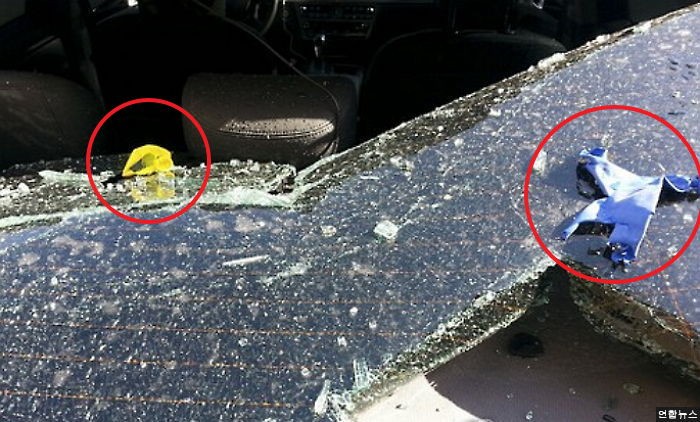 ‘캣맘’사건 또 재연될 뻔...물풍선에 차량 트렁크와 유리 박살