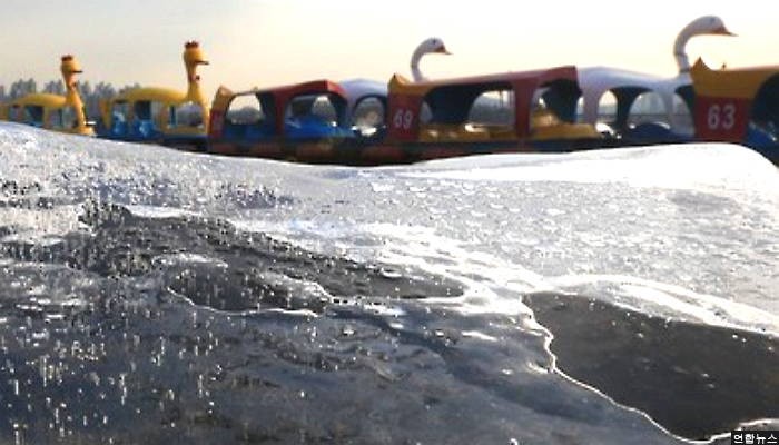 한파주의에 얼어붙은 한강과 오리배들 (사진)