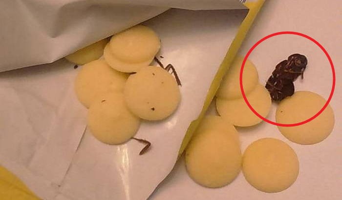 “과자서 벌레 발견?” 제조사 보고 기한 3일로 완화 논란