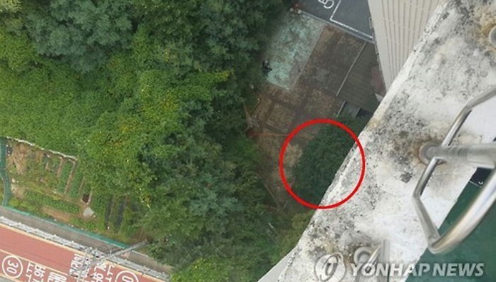 ‘화 난다’고 8층 옥상서 행인 향해 차돌 던진 30대