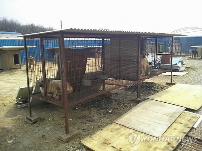 전북 정읍 애견농장서 화재…100여마리 질식사