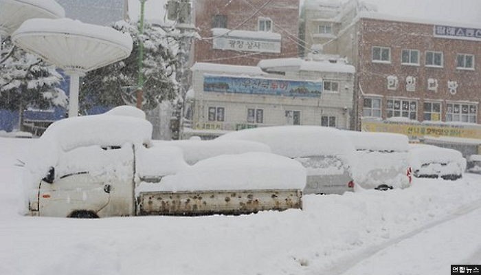 울릉도 6일간 100cm ‘눈폭탄’…신선식품 바닥