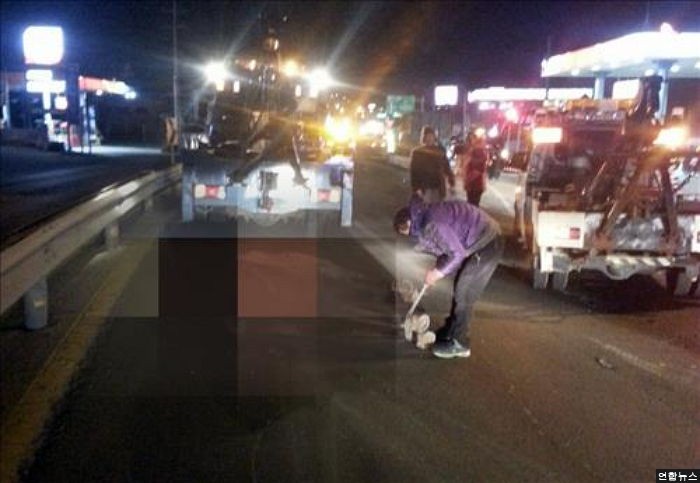 사육장 탈출한 말 차량 3대와 연쇄 충돌로 즉사