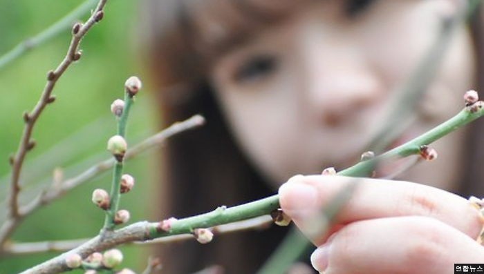 봄이 온다는 ‘입춘’, 낮 최고 8도…“날씨 포근해요”