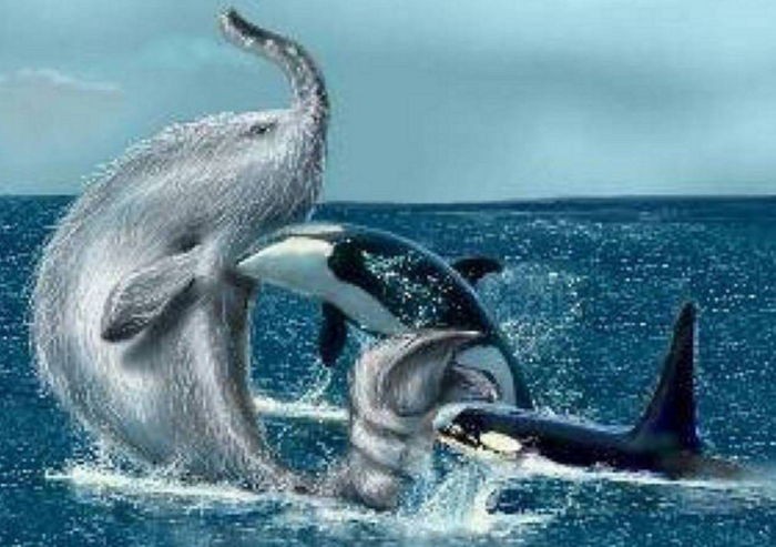 고대 전설 속에 나올 법한 희귀 바다 생물 10