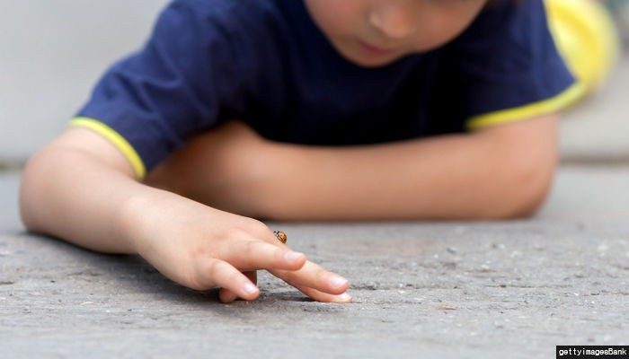 손가락 절단된 8살 소녀 경찰 도움으로 신속히 수술 받아