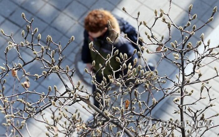 “연휴 마지막까지 즐겨요” 맑고 낮에는 봄기운