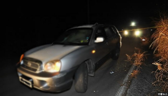 설 연휴 손녀 안고 도롯가 앉아 있던 60대...차에 치여 숨져
