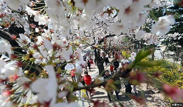 ‘성큼 다가온 봄’ 낮 최고 16도…오후에 비소식