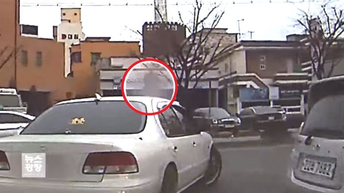 승용차에 사람 매달고 5km 달린 20대 벌금수배자