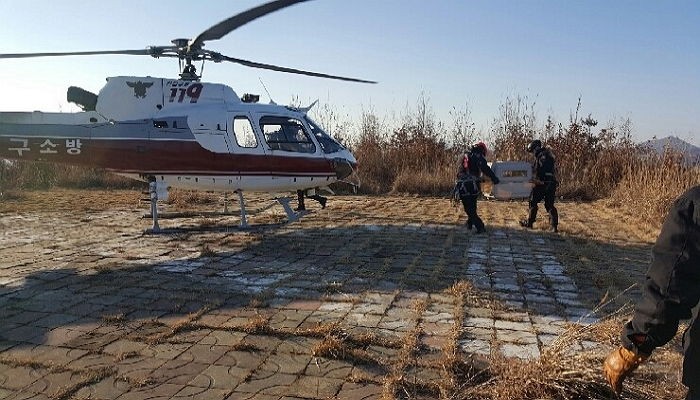 “헬기로 구조한 유기견 치료비 없어 안락사 당한답니다”