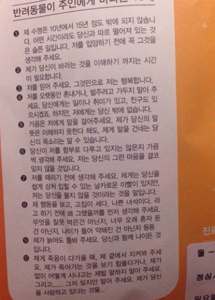 눈물 나게 만드는 어느 동물 병원의 약봉지