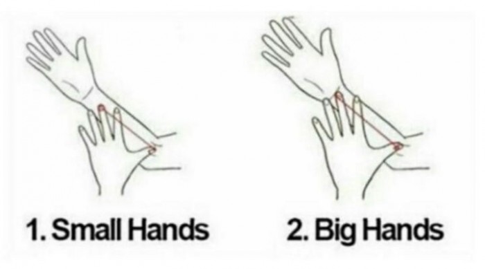 3초 만에 알아보는 ‘자기 손 크기’ 측정법