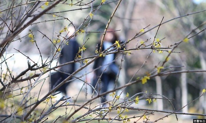 오늘 날씨, 추위 물러나고 ‘포근’...오후엔 비 또는 눈