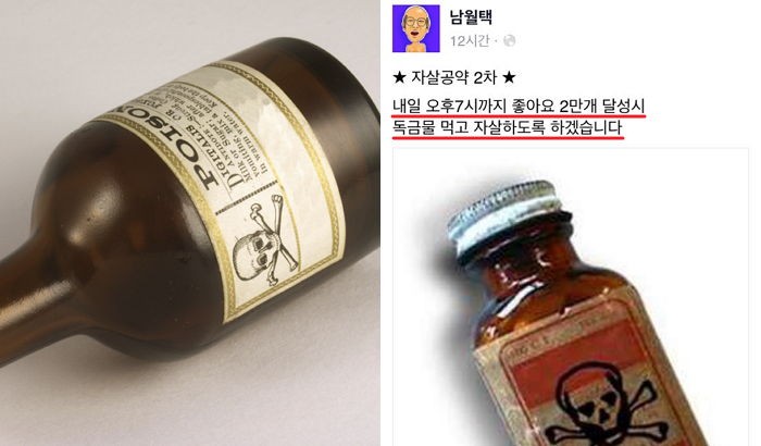 “좋아요 2만개 받으면 독극물 먹고 자살하겠습니다”