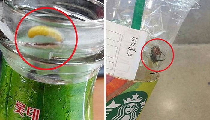 식품서 이물질 나왔을 때 대처하는 최선의 방법