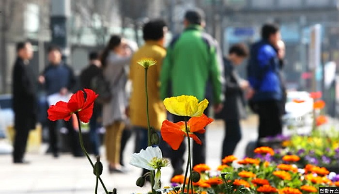 내일(3일)은 오늘보다 따뜻…낮 최고 10~18도