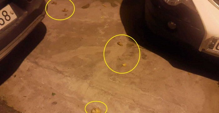 치킨집 사장이 아파트 입구에 남기고 간 ‘후라이드 치킨’