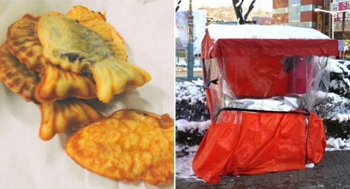 40대 남성이 붕어빵 포장마차에 불지른 이유