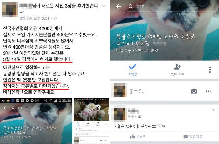 반려견 단체로 성폭행할 멤버 모집하는 페북 페이지 논란