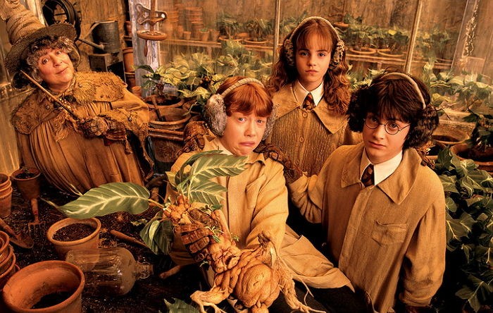 해리포터 신작, 8일 오후 11시 온라인에 무료 공개된다