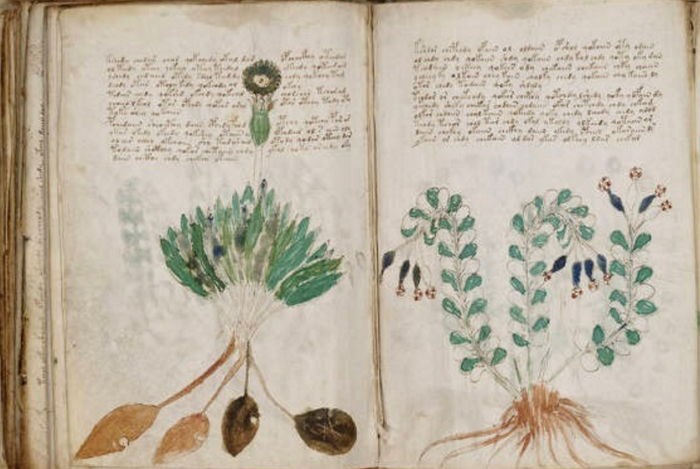 600년간 인류가 단 한 글자도 해독하지 못한 문서 (사진)