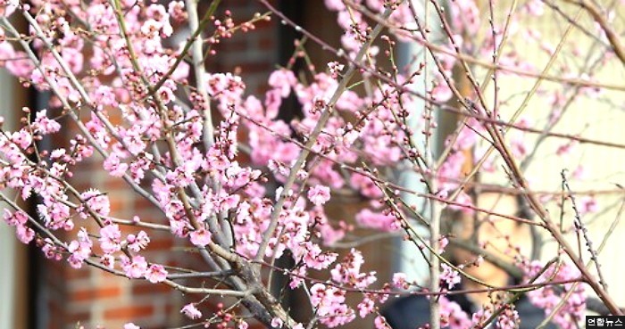 내일(15일) 포근하고 따뜻...미세먼지 주의