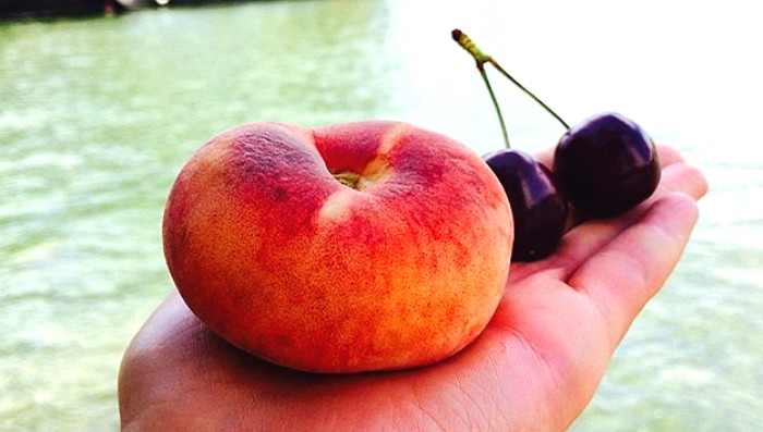 국내 도입이 시급하다는 ‘납작 복숭아’ (사진 8장)