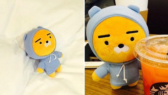 후드 입어 한층 더 깜찍해진 ‘라이언’