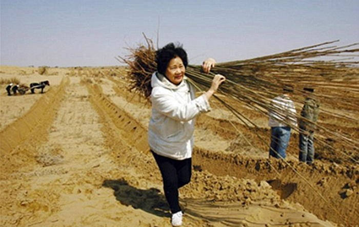 죽은 아들 위해 메마른 사막을 ‘푸른 숲’으로 바꾼 엄마