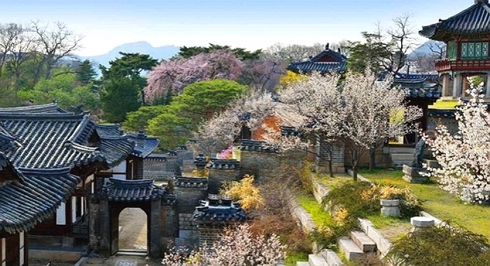 “서울시내 고궁에서 ‘봄꽃’ 보려면 이번 주말에 가세요”