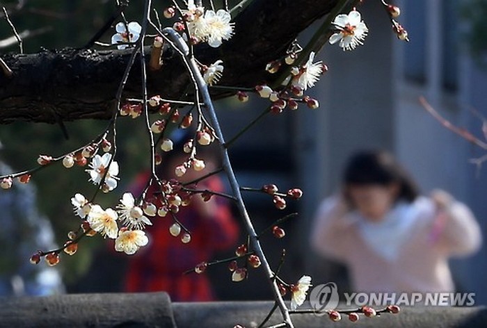 완연한 봄 맞은 주말, 포근하지만 미세먼지 ‘주의’