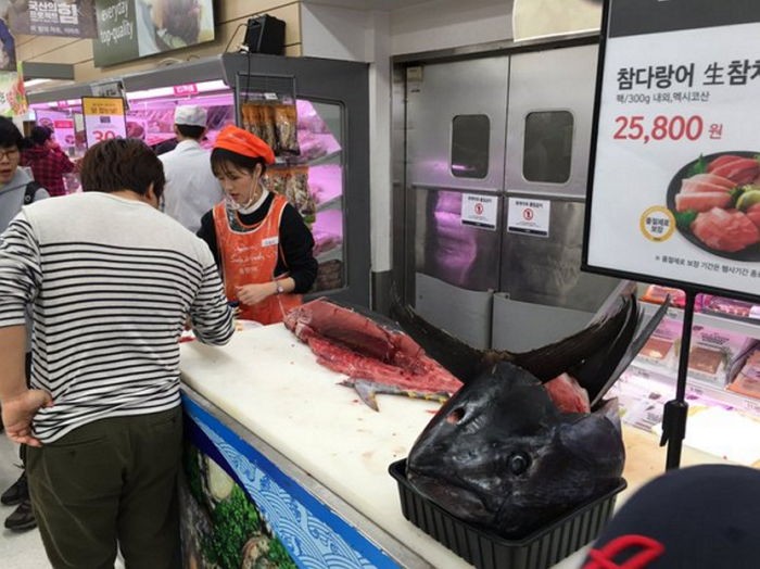 부산 이마트 참다랑어 생참치 시식 코너의 위엄