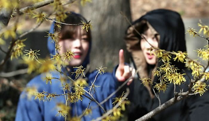 23일부터 꽃샘추위 시작…곳곳 ‘비나 눈’ 온다