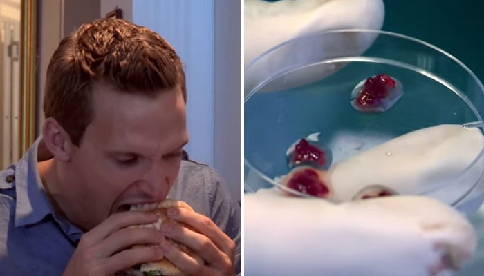 인육 맛 궁금하다며 다리 살 떼먹은 엽기남