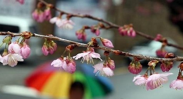 오늘(23일) 다시 쌀쌀해지는 공기...강원 최고 7cm 눈