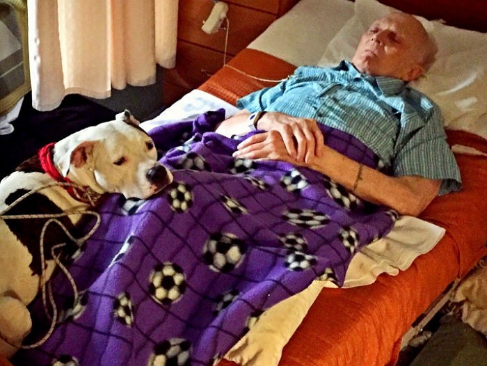 “할아버지 아프지 마세요” 눈물로 위로하는 강아지